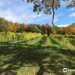Savage Oakes Vineyard & Winery